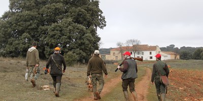 Cacerías en Mano.